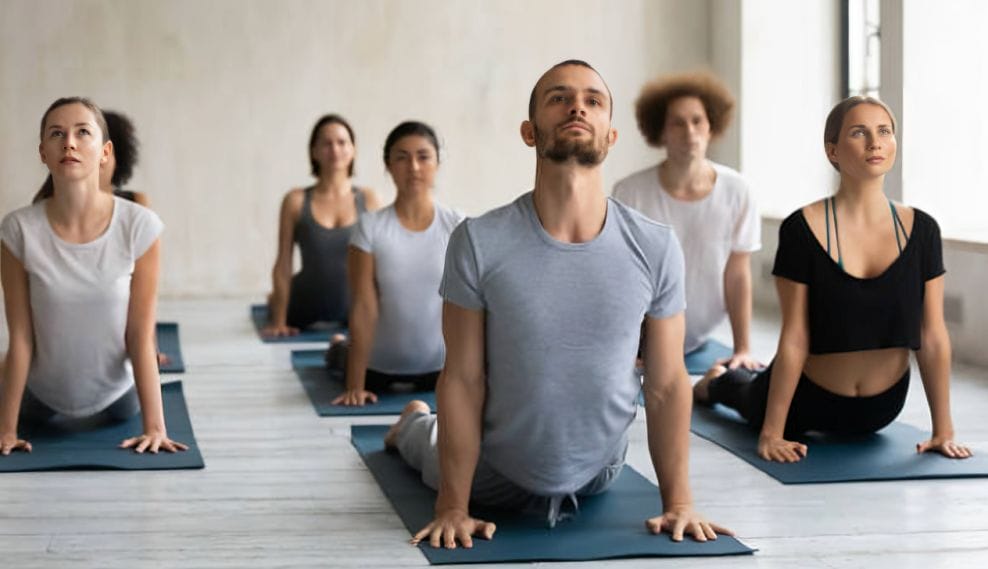 meilleurs logiciels de gestion de studio de yoga